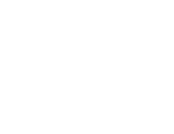 V•12